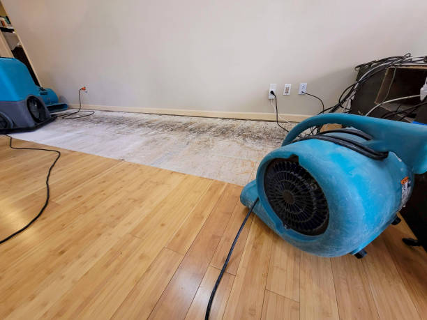 Professional Structural Drying technician working in Chatfield, MN